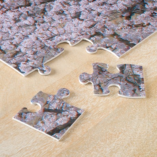 Château de Kōriyama : Puzzle (Côté)