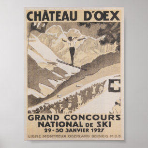 Chateau D'oex Zwitserland skireis Poster