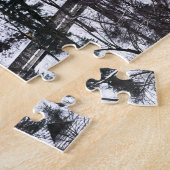 Château du Puzzle Bran en Romanie (Côté)