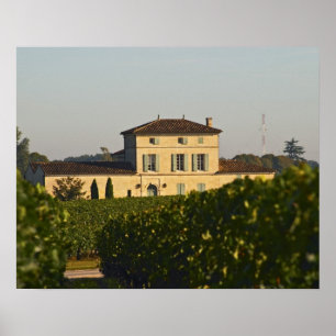 Chateau Lafleur Petrus en vineyard, in Pomerol, Poster