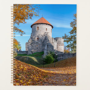 Château médiéval entouré de forêt