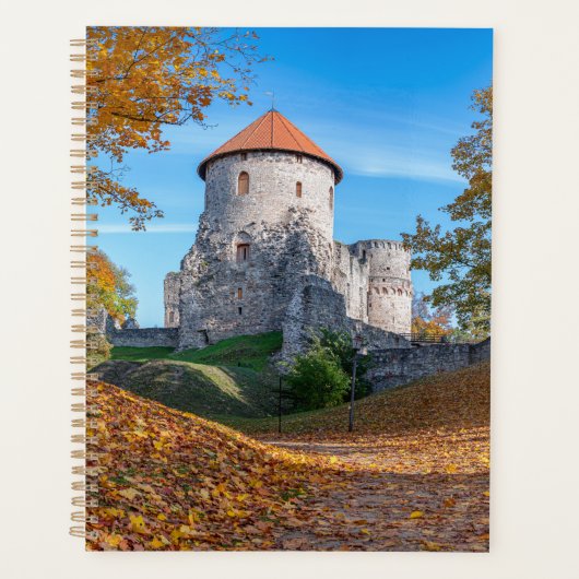 Château médiéval entouré de forêt (Devant)
