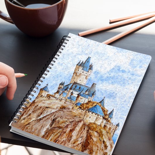 Château sur le Rhin