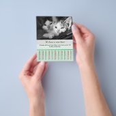 chaton à vendre prospectus modèles (main)