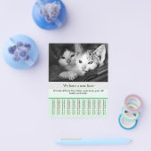 chaton à vendre prospectus modèles (Simple)