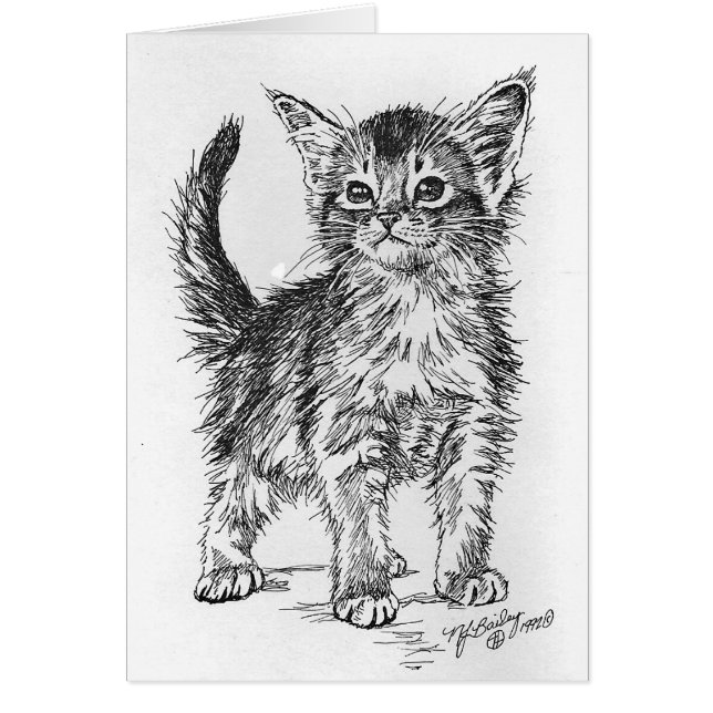 Chaton abyssinien à l'encre (Devant)