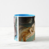 Chaton abyssinien et Mugs de chat (Centre)