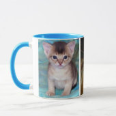 Chaton abyssinien et Mugs de chat (Gauche)