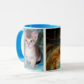 Chaton abyssinien et Mugs de chat (Devant gauche)