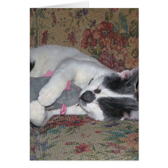 Chaton couchant (Devant)