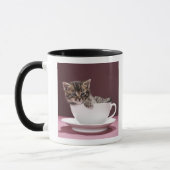 Chaton dans la tasse et soucoupe (Gauche)