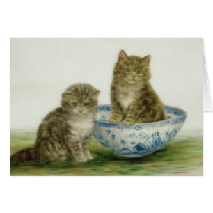 Chaton dans une cuvette bleue de la Chine