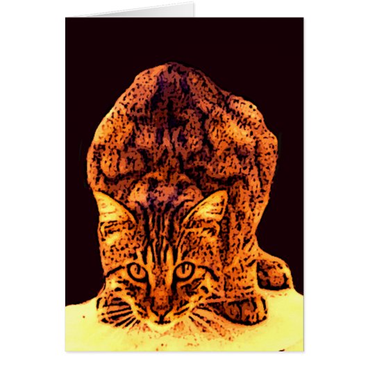CHATON DE CHAT SAUVAGE (Devant)