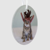 Chaton de Noël (devant)