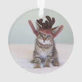 Chaton de Noël (dos)