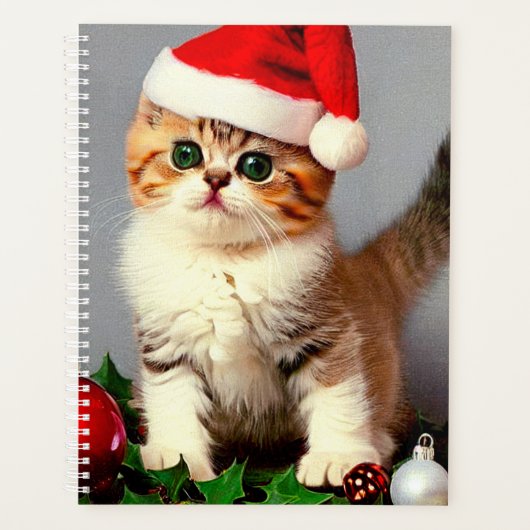 Chaton de Noël Vintage à Santa Hat (Devant)