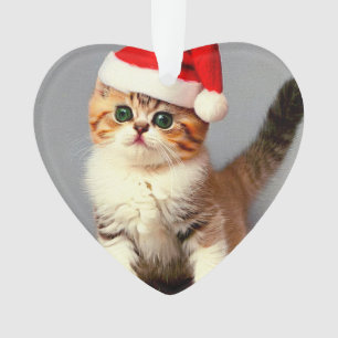 Chaton de Noël vintage avec chapeau de Père Noël