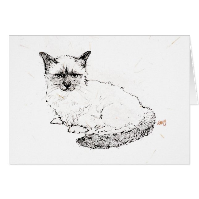 Chaton de Ragdoll (Devant horizontal)