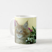 Chaton de ragondin du Maine de tasse (Devant gauche)