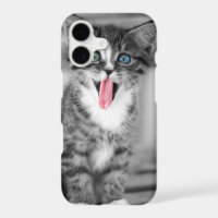 Chaton drôle