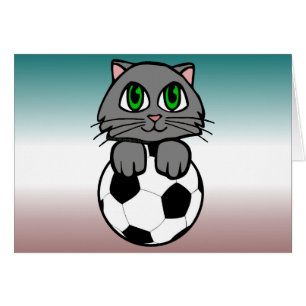 Chaton du football