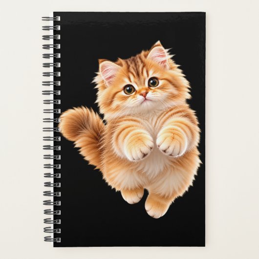 Chaton duveteux (Devant)