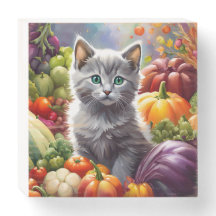 Chaton gris et légumes