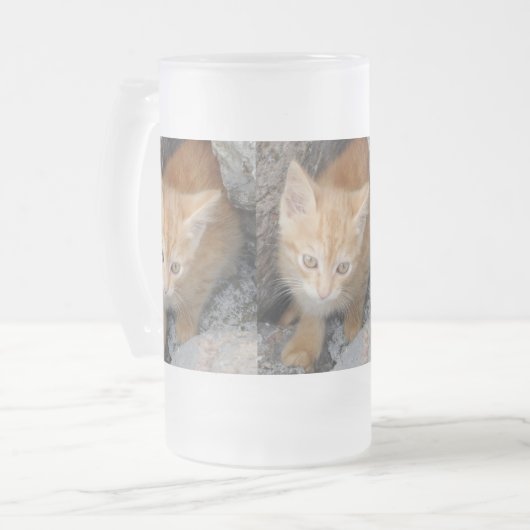 Chaton Innocent Frosted 16 oz de verre givré Mug (Devant gauche)
