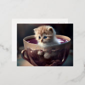 chaton mignon dans un design de carte postale 1 (Recto/Verso)