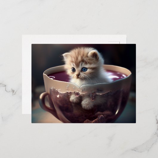 chaton mignon dans un design de carte postale 1 (Recto/Verso)