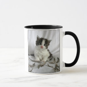 Chaton mignon de ragondin du Maine avec la tasse