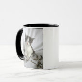 Chaton mignon de ragondin du Maine avec la tasse (Devant gauche)