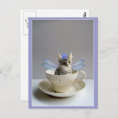 Chaton mignon en carte postale de tasse de thé (Devant / Derrière)