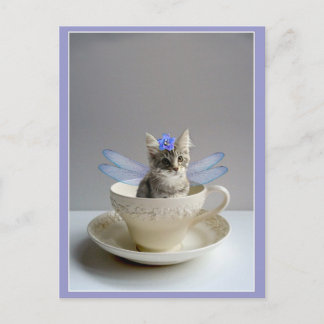 Chaton mignon en carte postale de tasse de thé