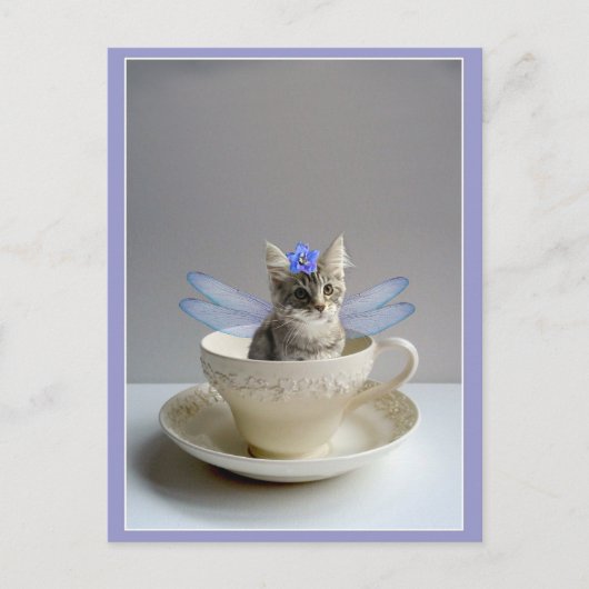 Chaton mignon en carte postale de tasse de thé (Devant)
