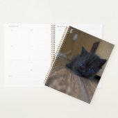 Chaton noir (Devant avec enveloppe)