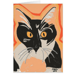 Chaton noir et blanc