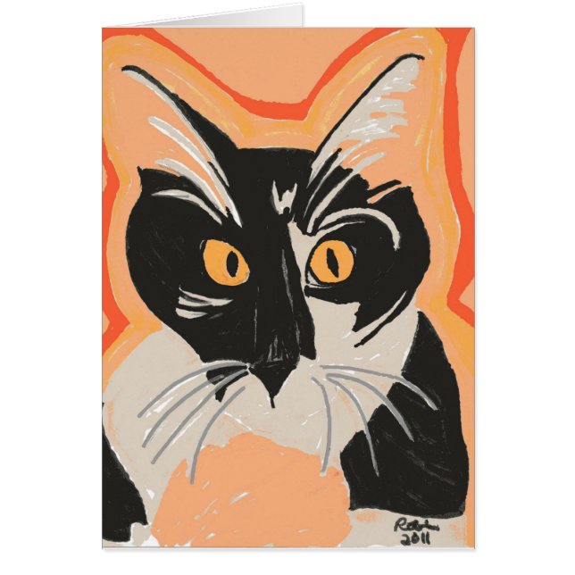 Chaton noir et blanc (Devant)