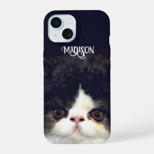 Chaton noir et blanc duveteux