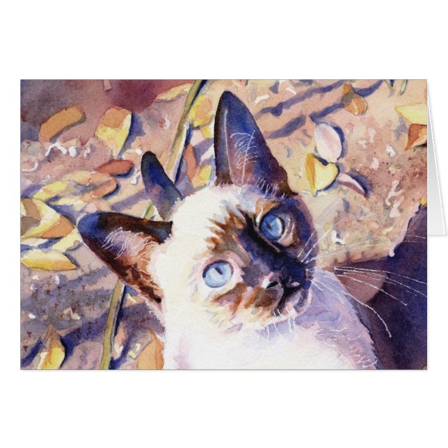 Chaton siamois (Devant horizontal)