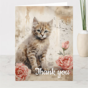 chaton tabby duveteux Merci 13