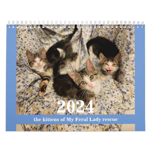 Chatons ! 2024 Mon Feral Lady kitten Calendrier (Protection)