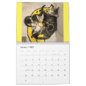 Chatons ! 2024 Mon Feral Lady kitten Calendrier (Jan 2027)