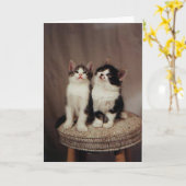 chatons, carte d'amis fidèles (Fleur jaune)