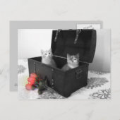 chatons dans le coffre avec fleurs carte postale (Devant / Derrière)