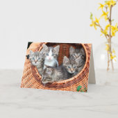 chatons dans une carte de voeux panier (Fleur jaune)