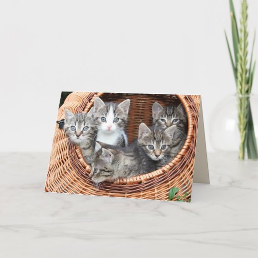 chatons dans une carte de voeux panier (Devant)