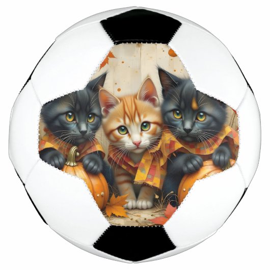 Chatons d'automne citrouilles et feuillage (Devant)