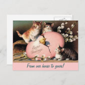 Chatons de Pâques Carte postale de voeux Vintage (Devant / Derrière)