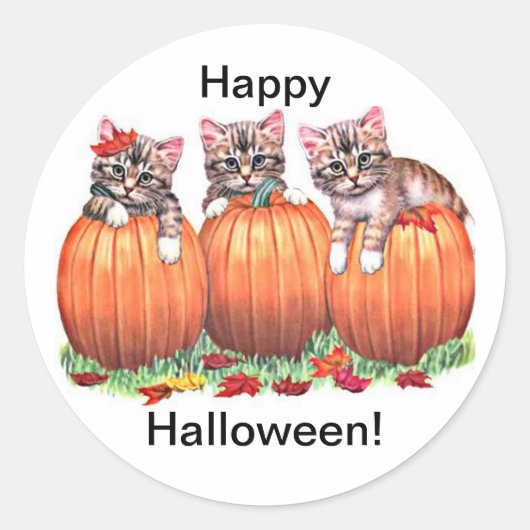 Chatons en Citrouille pour Stickers Halloween (Devant)